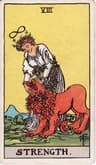 Tarot La fuerza